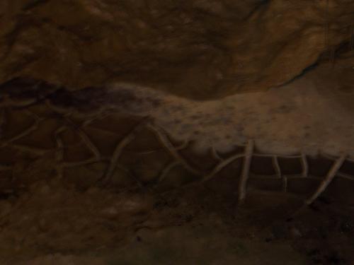 Polygonal Mud Cracks 2