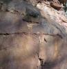 Pebble Horizons