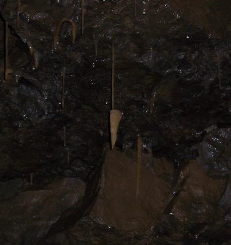 "Carrot" Stalactite