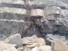Lands end granitic dykes intruding the mylor slates, Cornwall, uk