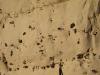 Nodular flint bands in Cretateous Upper chalk
