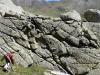 Jointing in granodiorite