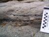 Coal rip-up clasts