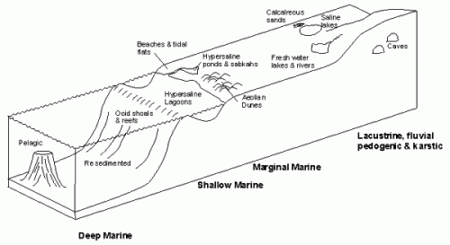 Carbonate Environments