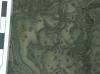 Paired Bioturbation
