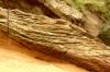 Trough-Cross Bedding