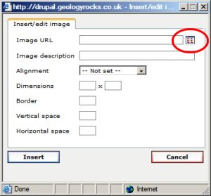 Browse button for a picture