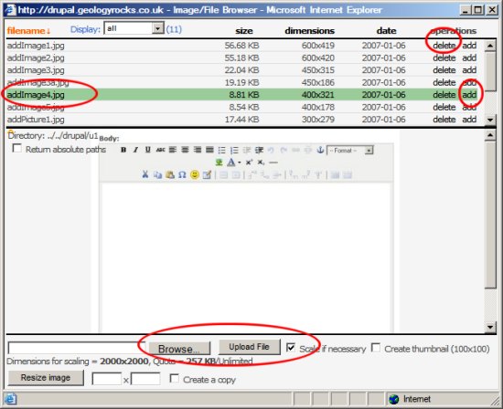 File browser