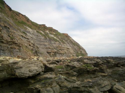 Typical view at Burniston