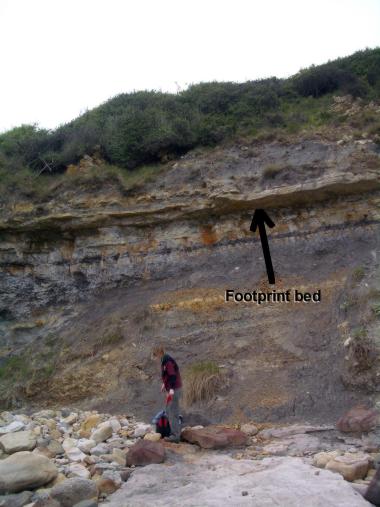 The footprint bed