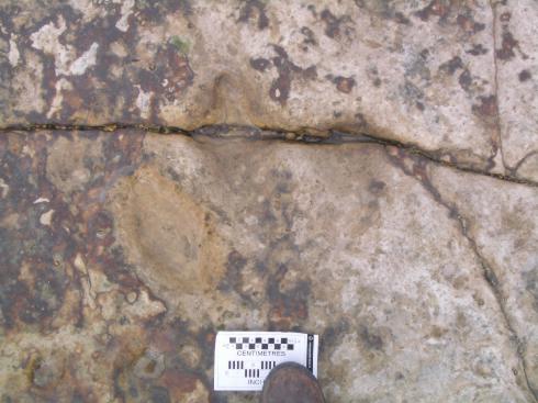 A footprint!