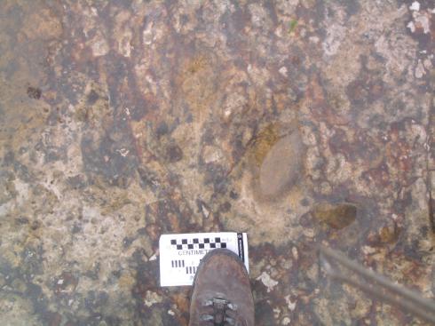 Another footprint!