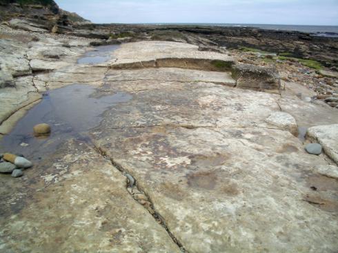 The beds on which footprints were found