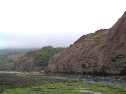Pleistocene sands near Boggle Hole