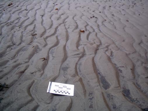 Modern assymetrical ripples