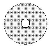 Centric diatom Centric diatom